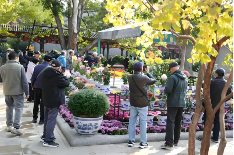 image image.png?v=1770168804578