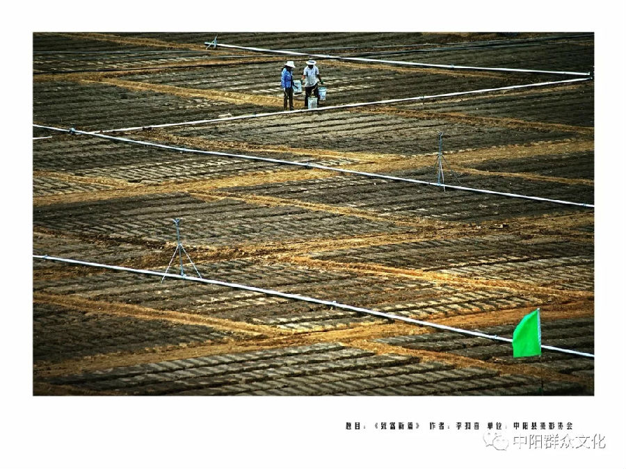 640.webp (24).jpg?v=1764880118725