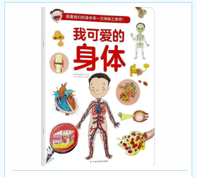image.png?v=1787518945203