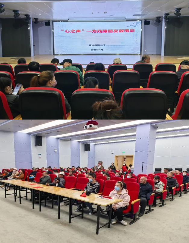 image image.png?v=1763539314652