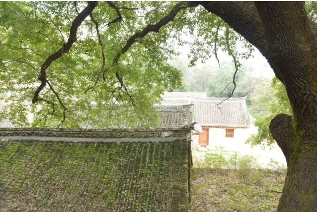 2352aee776843ced49bba89c9bef0404png