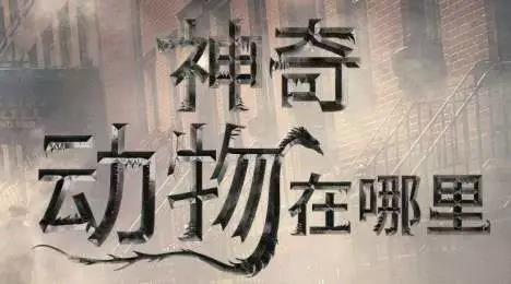 微信图片_20190726172338 微信图片_20190726172338