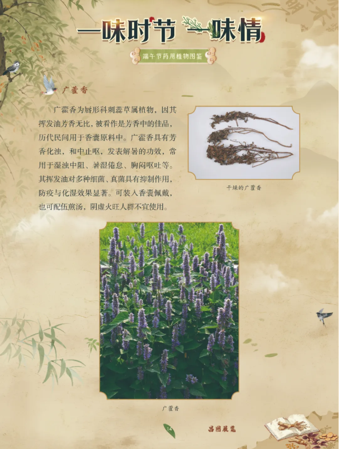 image.png?v=1782174181266