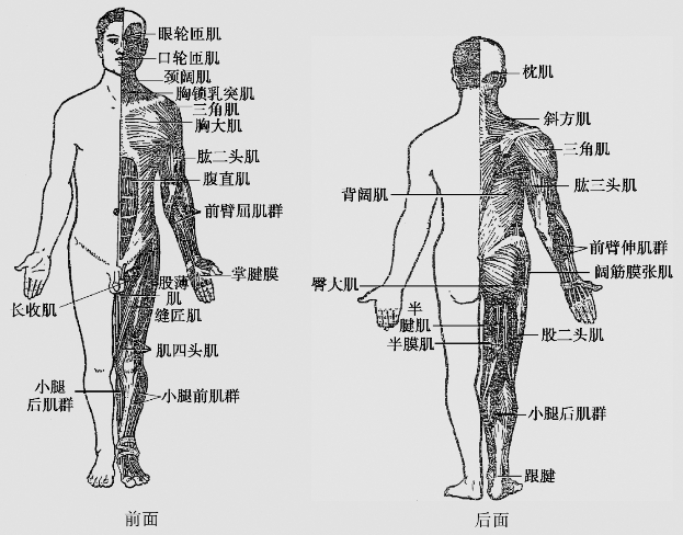 pagenumber_ebook=27,pagenumber_book=14