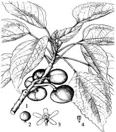 pagenumber_ebook=79,pagenumber_book=79