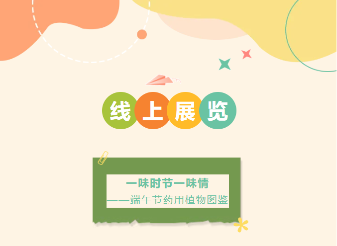 image.png?v=1782174181266
