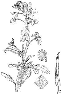 pagenumber_ebook=200,pagenumber_book=200