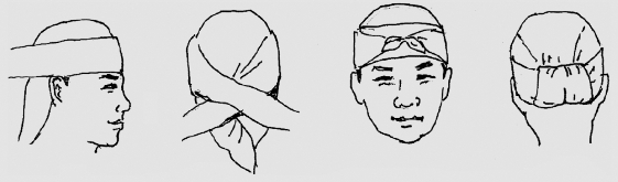 pagenumber_ebook=85,pagenumber_book=72