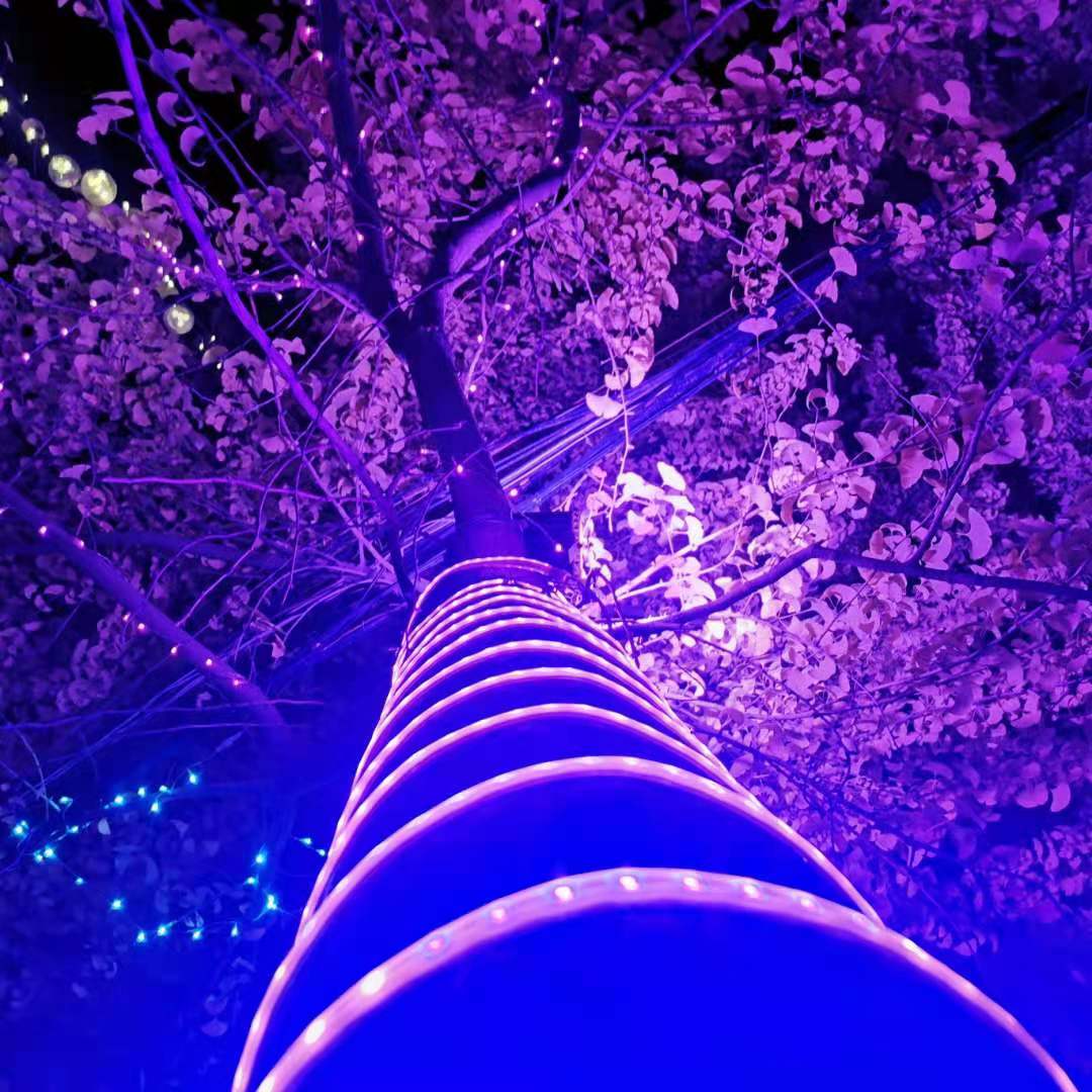 微信图片_20201214202611