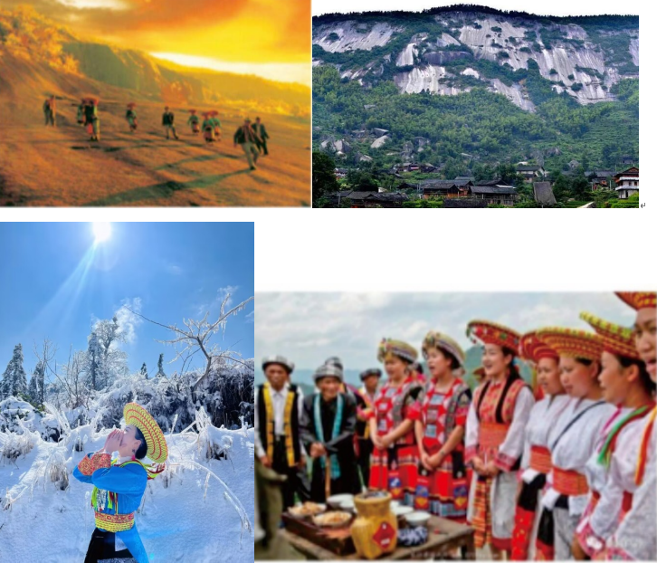 1732260016306 1732260016306.png