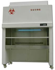 把城市作为有机生命体看待