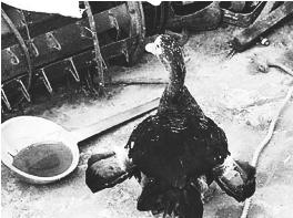 pagenumber_ebook=43,pagenumber_book=43