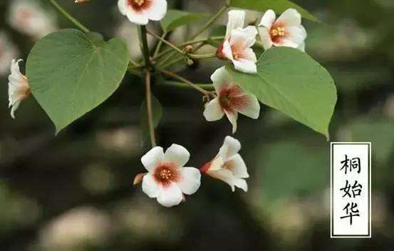 image011 image011.jpg?v=1764640555543