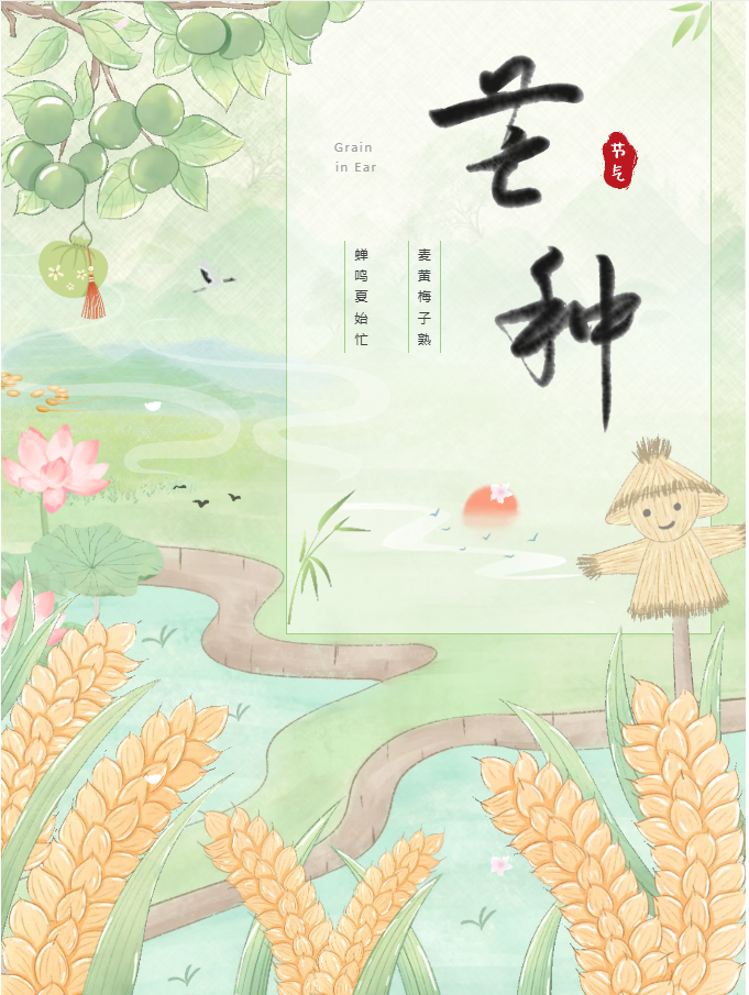 image.png?v=1782173729533
