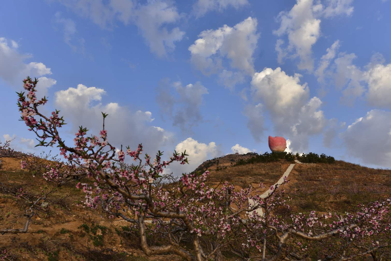 微信图片_20190516085547