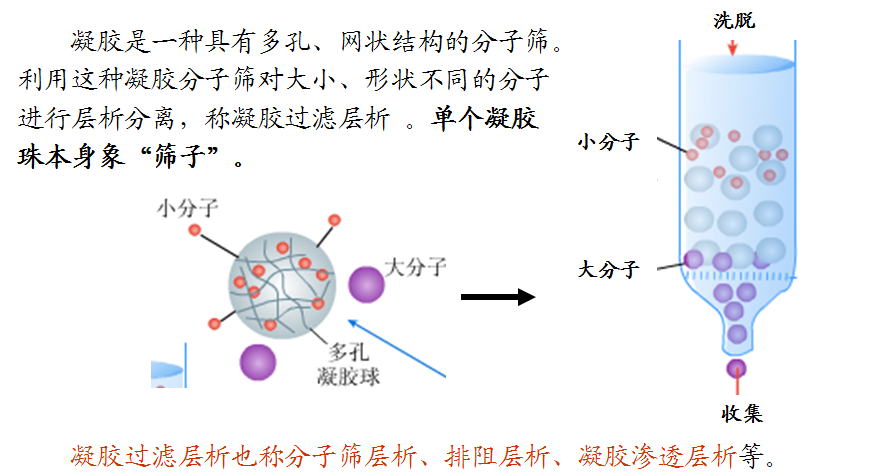 硫酸铵沉淀蛋白的原理_硫酸铵是沉淀蛋白最常用的盐,因为它在冷的缓冲液中溶解性好,冷的缓(3)