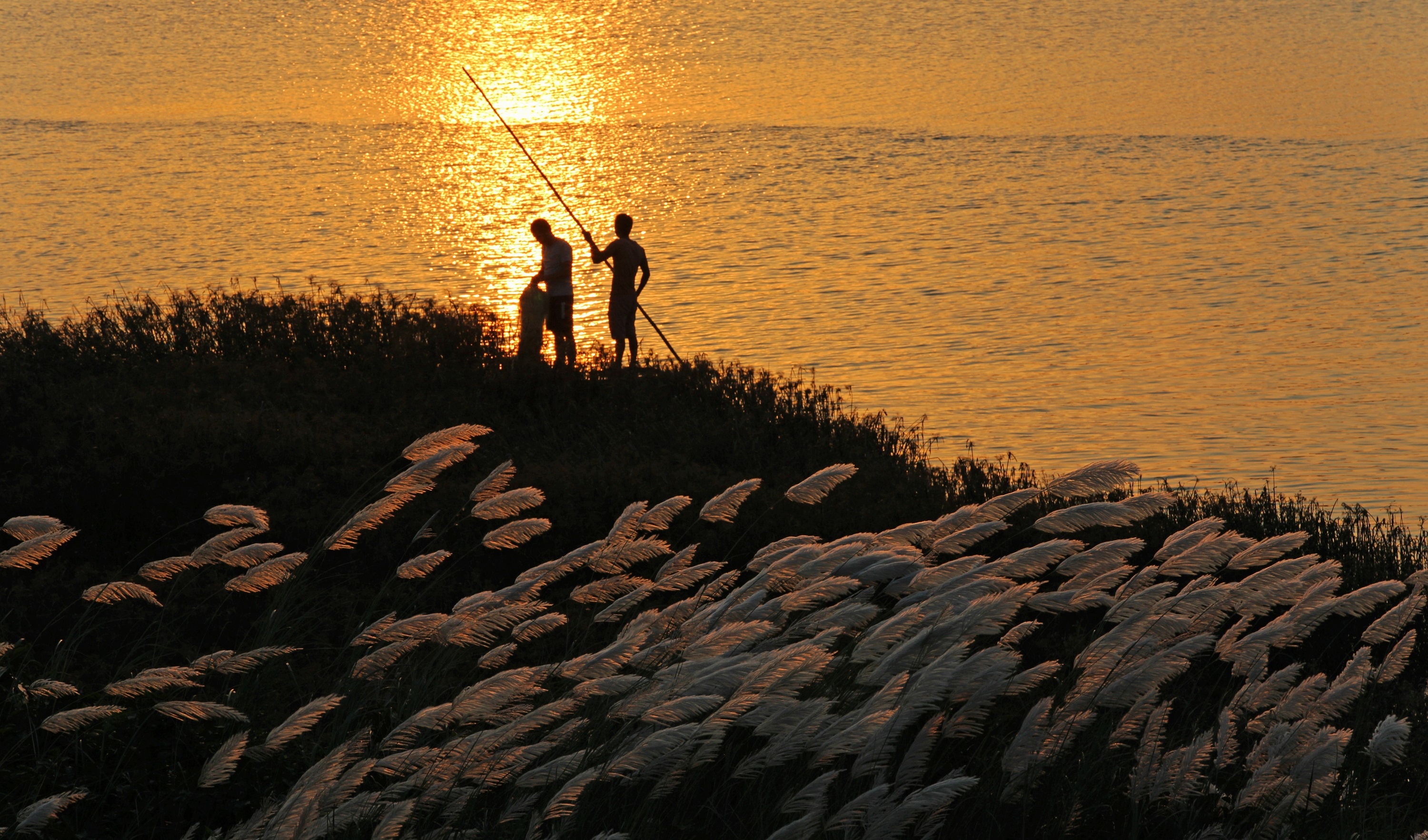 59-作品名称:《苇歌江客》陈锐 59-作品名称:《苇歌江客》陈锐 .jpg