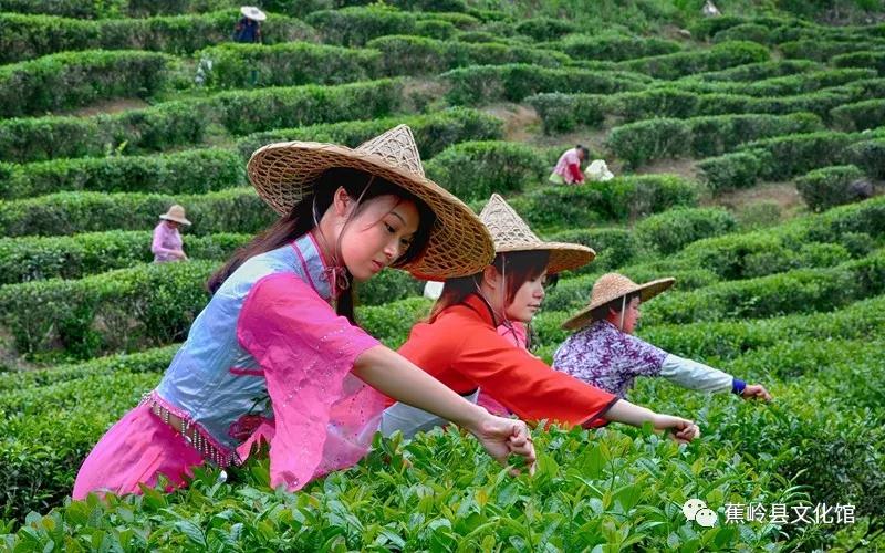 25 25.jpg?v=1765891042459