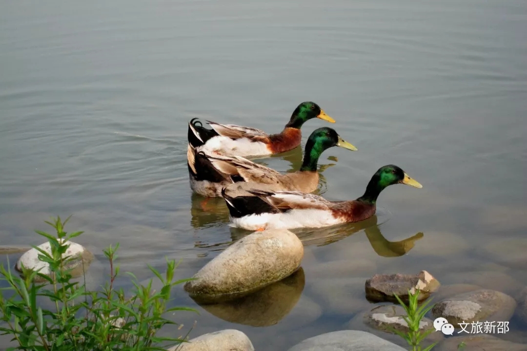 640.webp (14) 640.webp (14).jpg