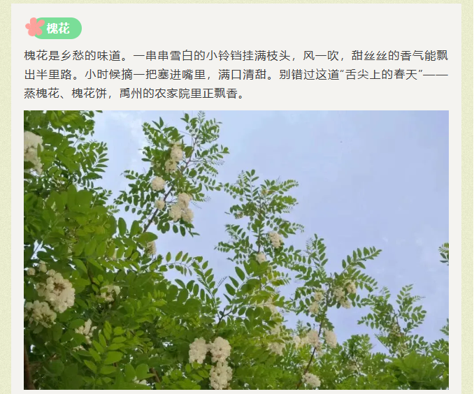 ca7a0cbec3b1203898b96c5a8168ed97png