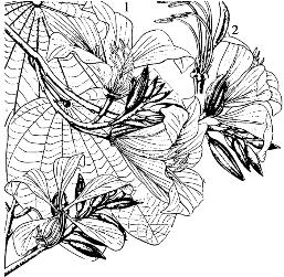 pagenumber_ebook=81,pagenumber_book=81