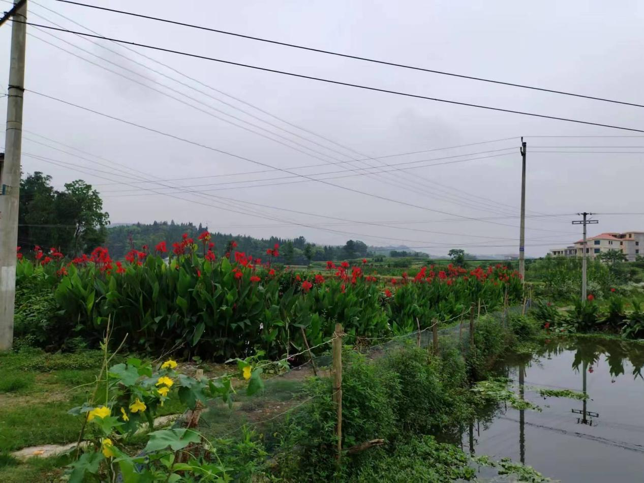 图片 2 图片 2.png