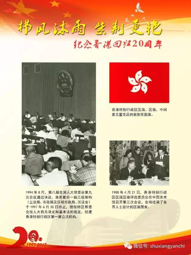 23.webp.jpg?v=1763534244324