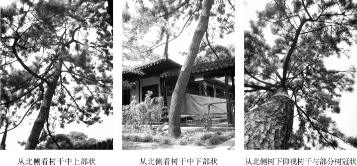 pagenumber_ebook=98,pagenumber_book=98