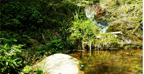 微信图片_20200424001440 微信图片_20200424001440.png