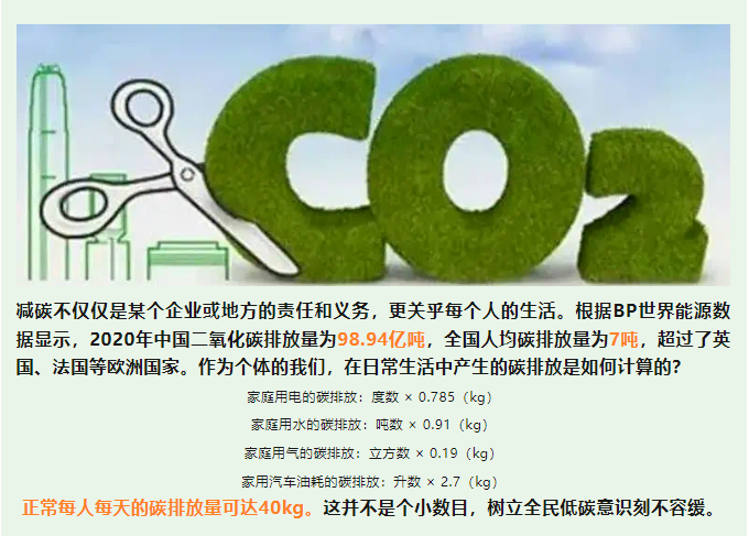 image image.png?v=1763569561592