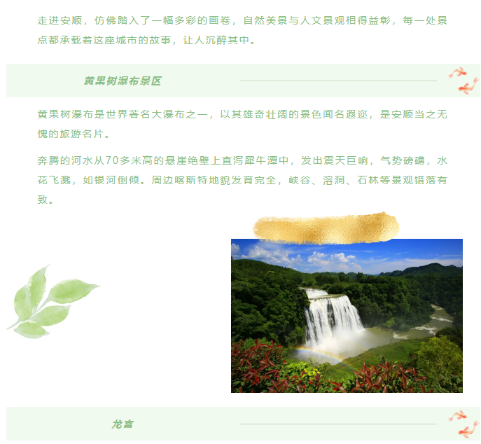 image.png?v=1751558967926