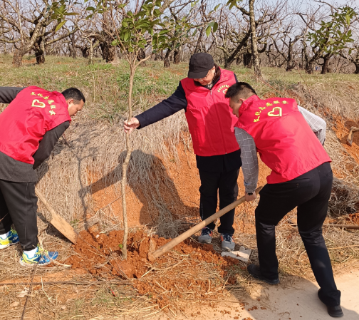 image image.png?v=1762619648755