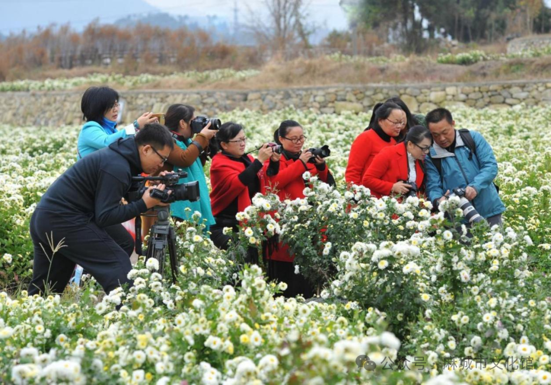 微信图片_20250620154123 微信图片_20250620154123.png