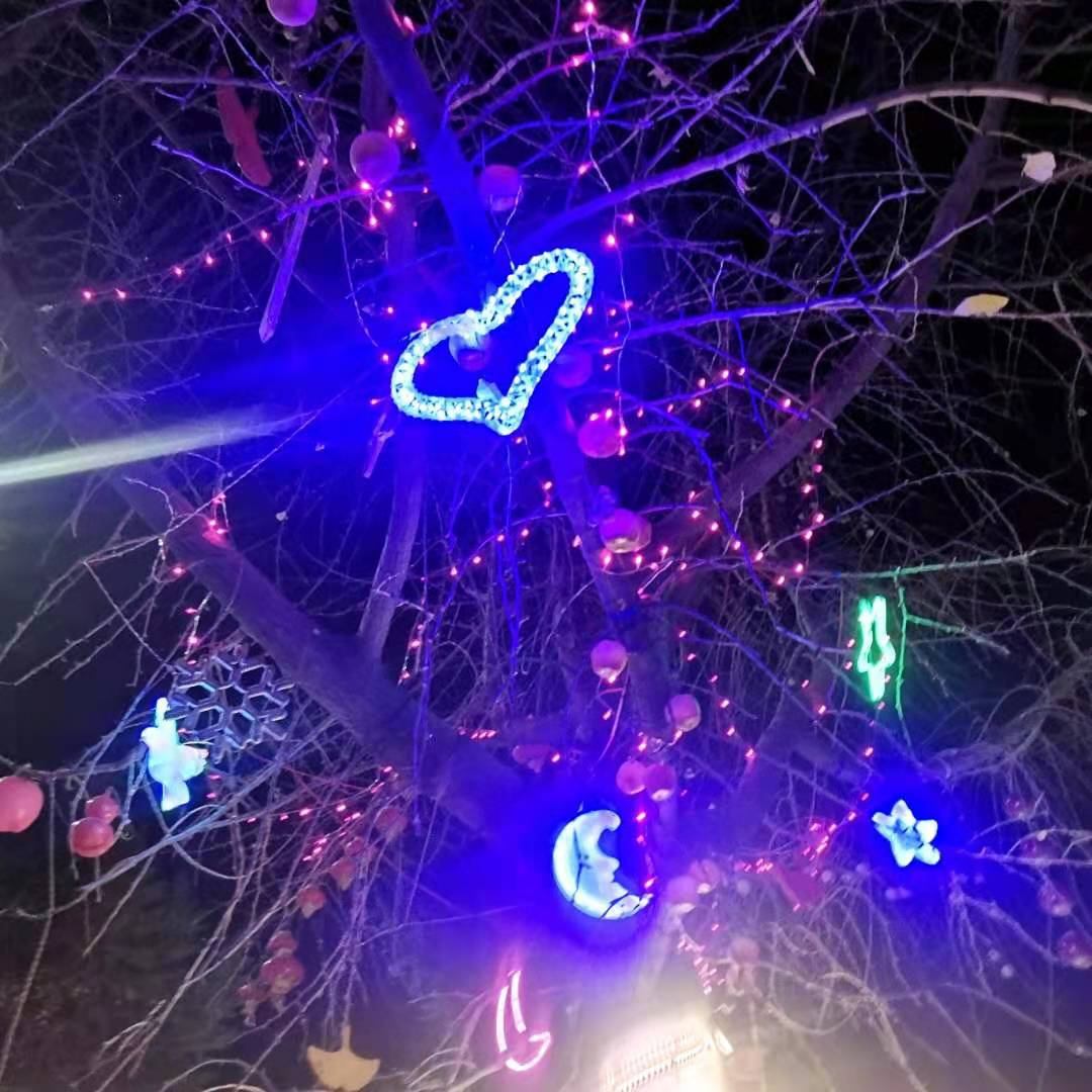 426be059c0f37fe13fcb2f5f42581cc