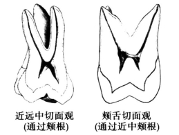 pagenumber_ebook=53,pagenumber_book=44