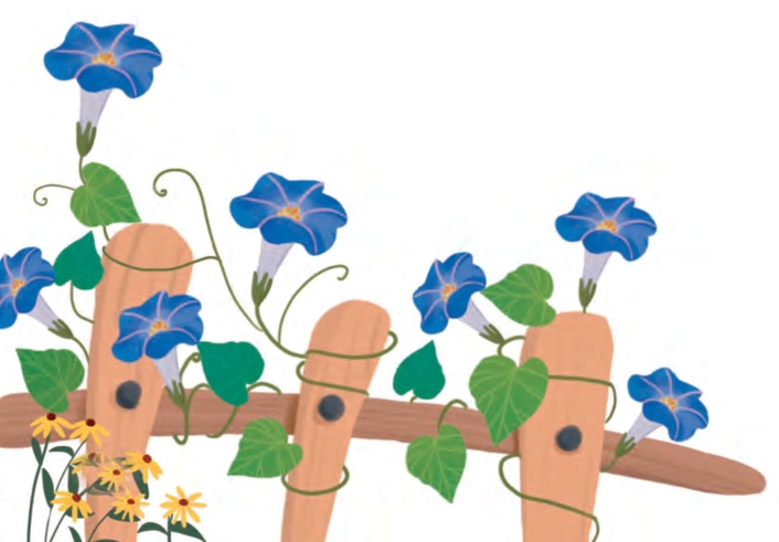 pagenumber_ebook=74,pagenumber_book=62