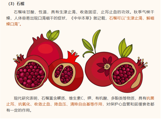 image.png?v=1762125929594