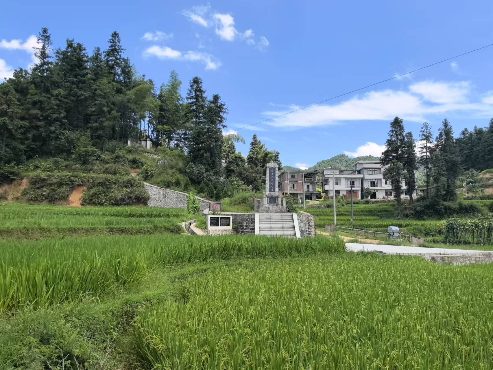 微信图片_20241128163504 微信图片_20241128163504.jpg