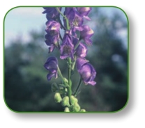 pagenumber_ebook=94,pagenumber_book=81