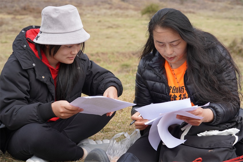 DSC00720.jpg?v=1762090422493