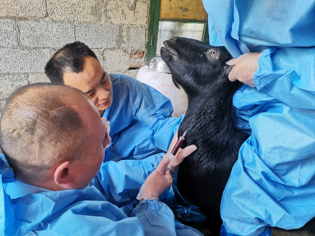 2 2.png?v=1765946513265