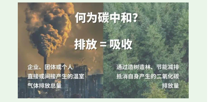 image image.png?v=1763569561592