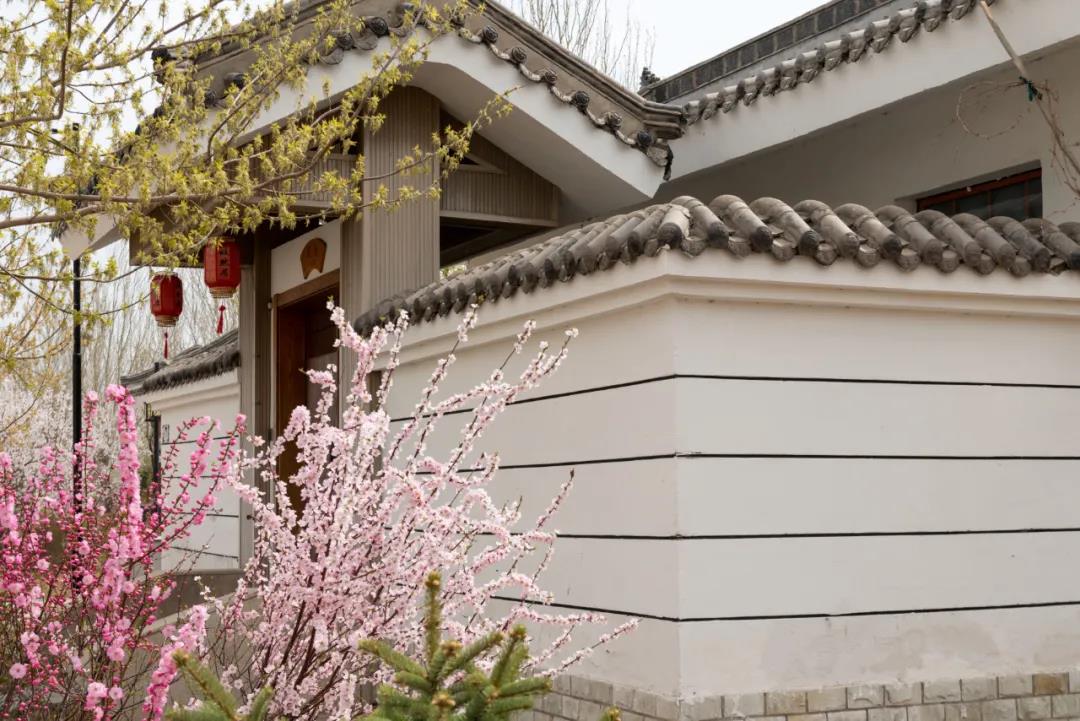 微信图片_20210508151904 微信图片_20210508151904.jpg