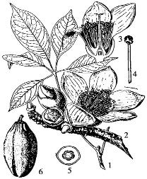 pagenumber_ebook=82,pagenumber_book=82