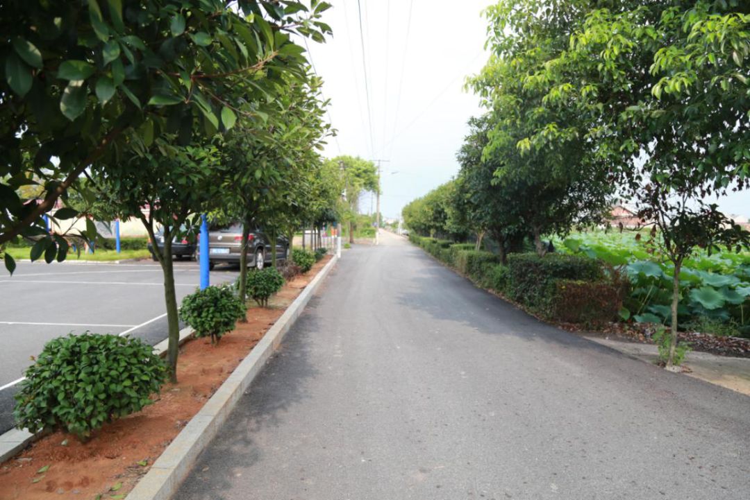 7 7.jpg?v=1765771807275