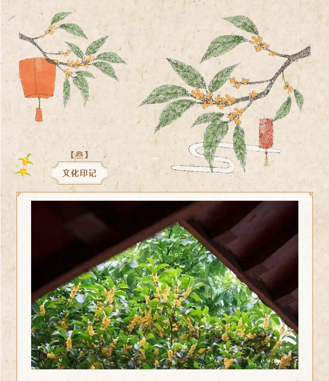 image.png?v=1762099910466