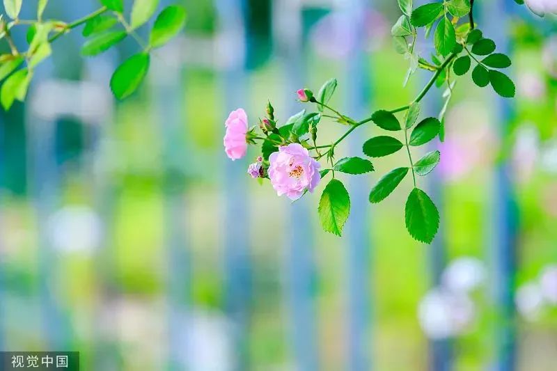 53cf0ff349d404e6ed5c8cfa4407b38d 53cf0ff349d404e6ed5c8cfa4407b38d.jpg