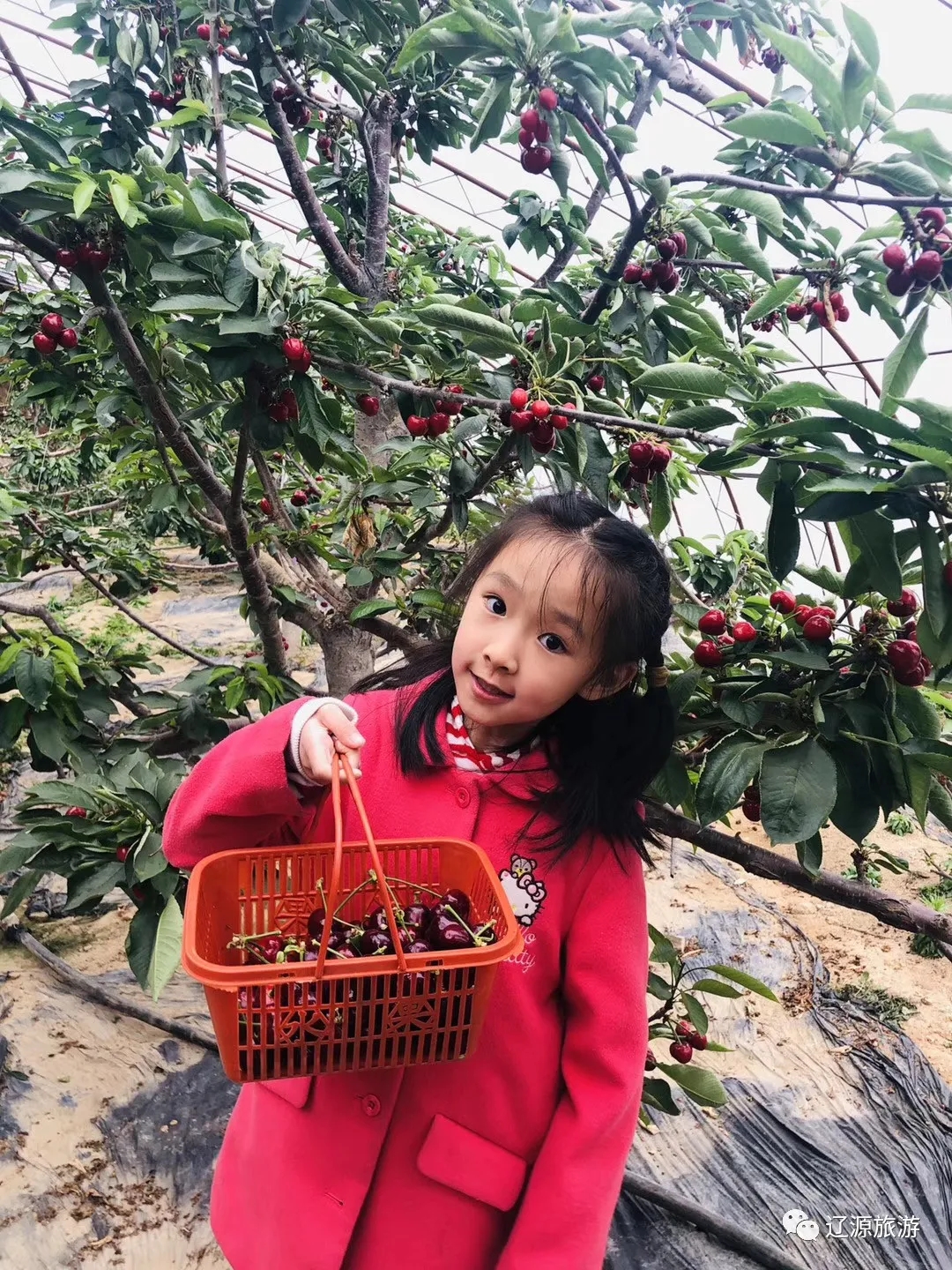 640.webp (16) 640.webp (16)