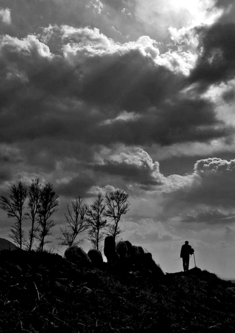 pagenumber_ebook=162,pagenumber_book=162