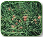 pagenumber_ebook=5,pagenumber_book=0